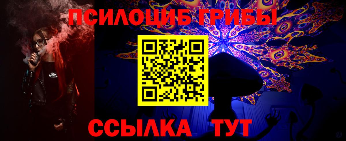 наркота  Воронеж  Псилоцибиновые грибы Psilocybine cubensis 