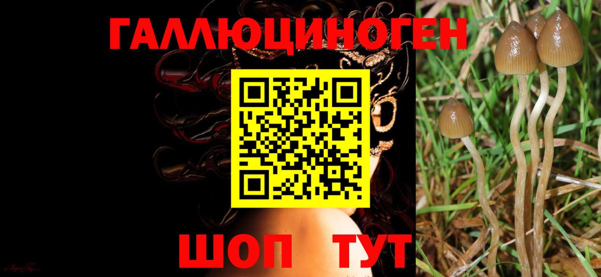 Воронеж  Галлюциногенные грибы мухоморы  Вход с VPN 